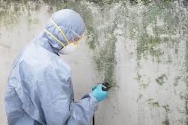 Best Residential Mold Inspection & Testing  in Ocala Estates, FL